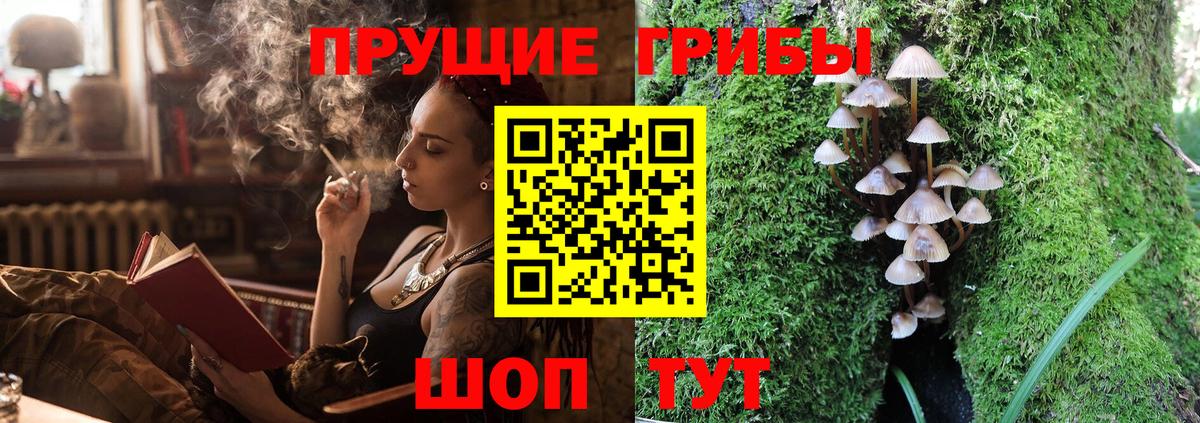 Псилоцибиновые грибы Psilocybine cubensis Богородицк