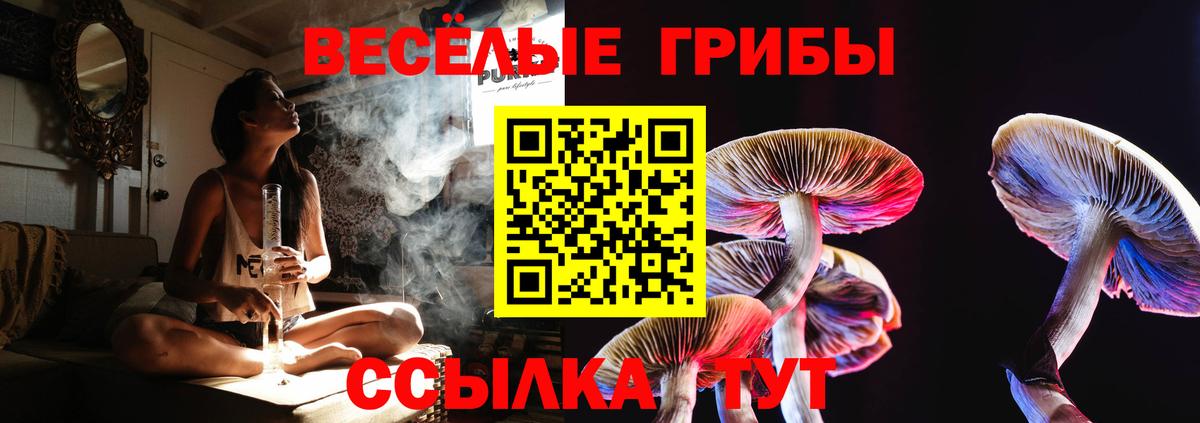 Галлюциногенные грибы Psilocybine cubensis  Вход с VPN  Богородицк 